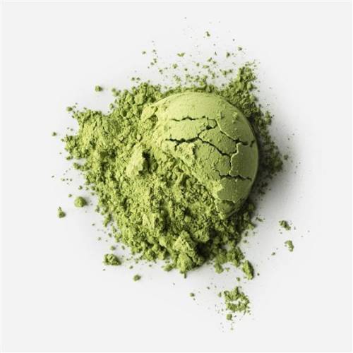 Matcha Midori Bio